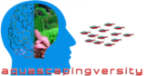 aquascapingversity