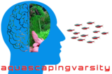 aquascapingversity